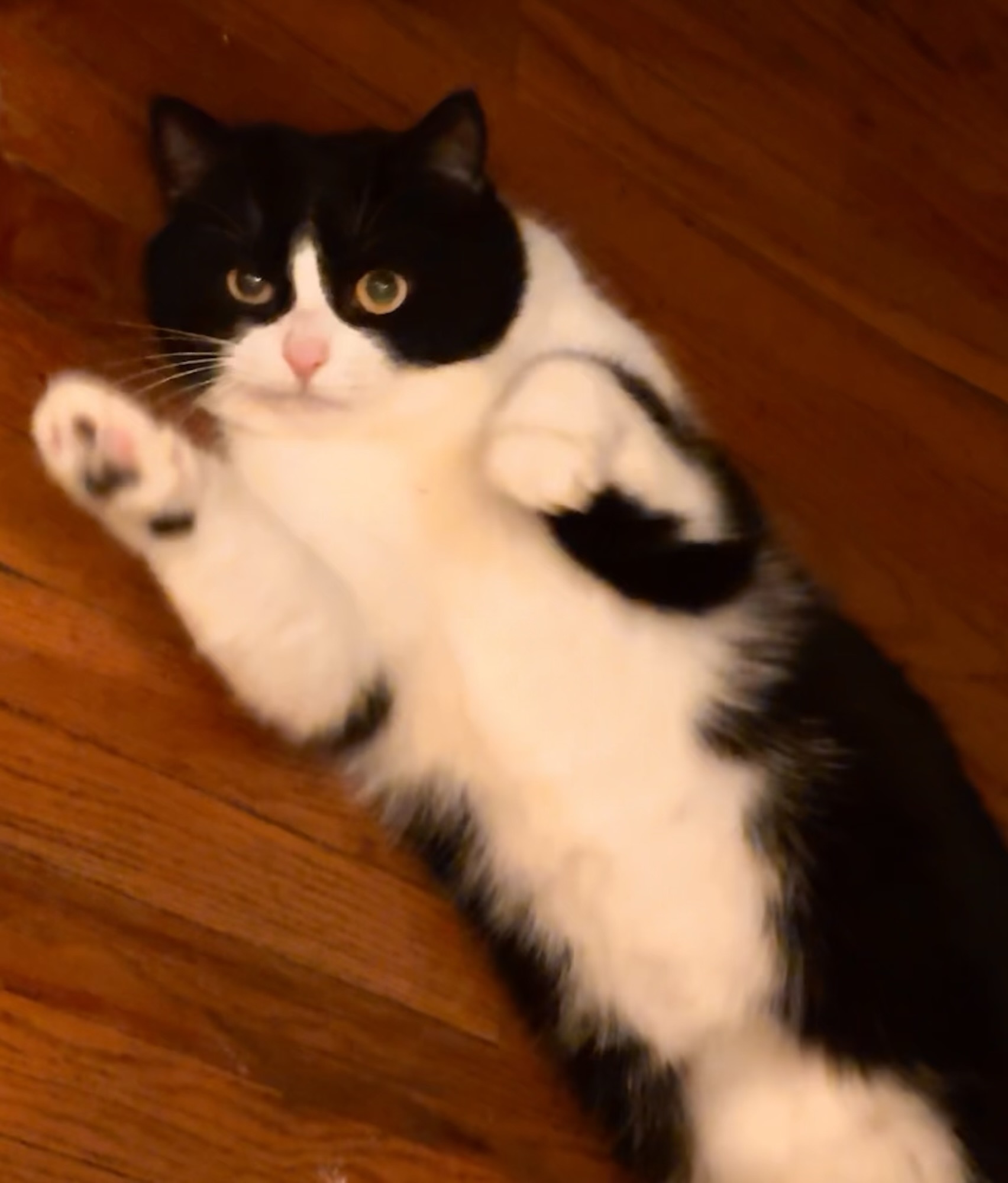 Slavery of Engagement