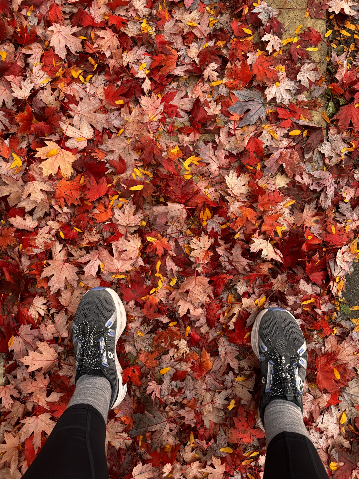 My absolute fail at training for a half marathon, or why I love yoga